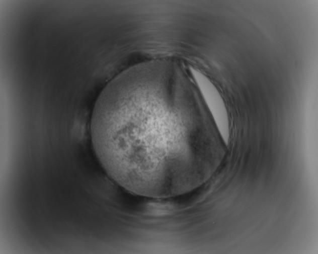 X0000093210515200710101329