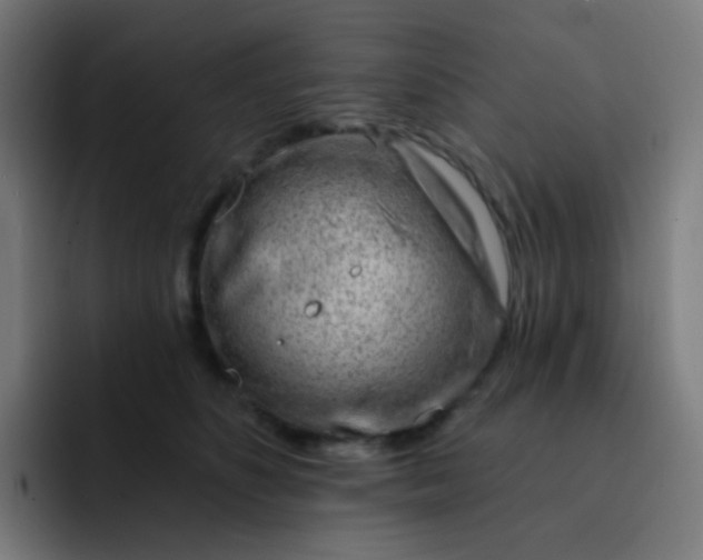 X0000093210516200710101329