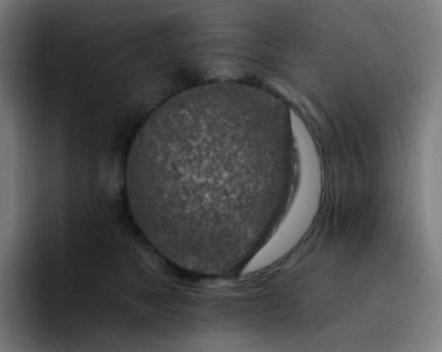 X0000093210517200710101329