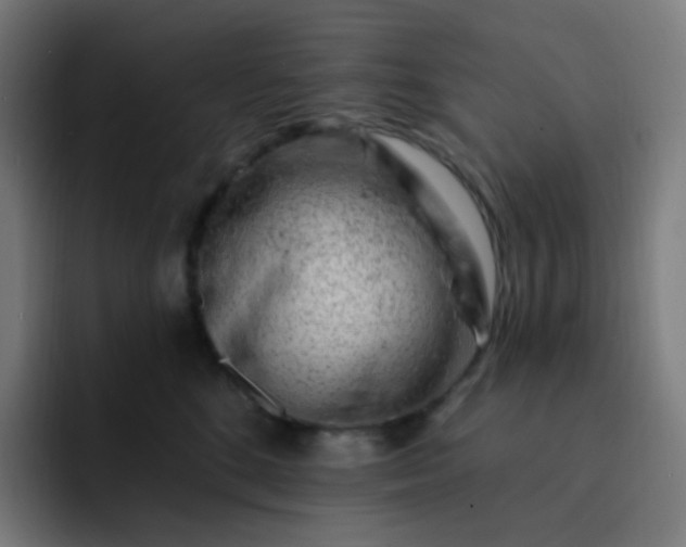 X0000093210520200710101329