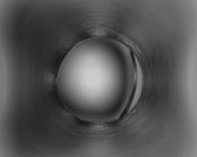 X0000093210521200710101329