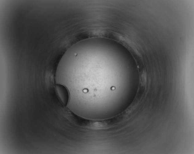 X0000093210522200710101329