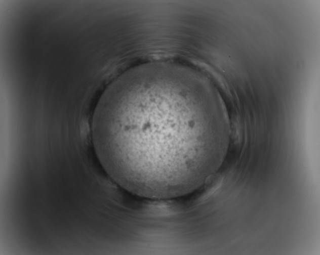 X0000093210523200710101329