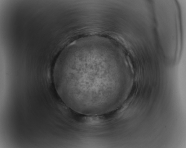 X0000093210524200710101329