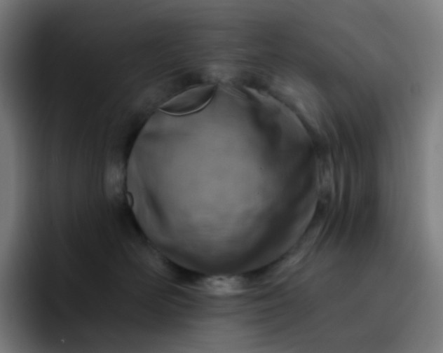 X0000093210526200710101329