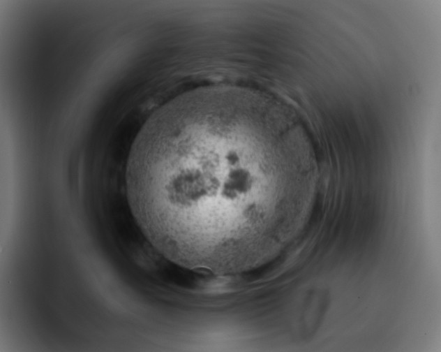 X0000093210527200710101329