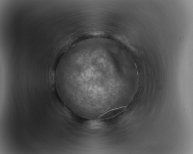 X0000093210528200710101329