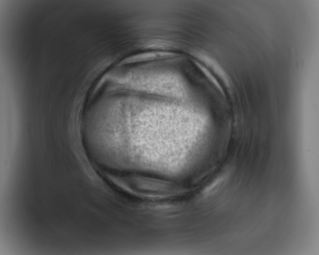 X0000093210529200710101328