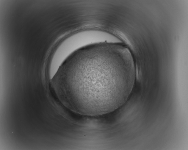 X0000093210531200710101328