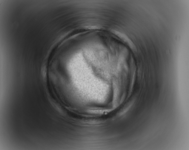 X0000093210533200710101328