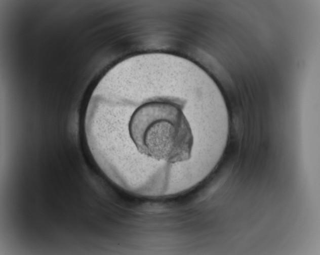 X0000093210534200710101328