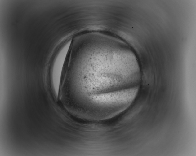 X0000093210535200710101328