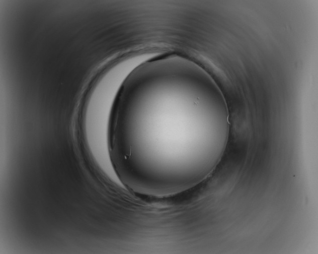 X0000093210536200710101328