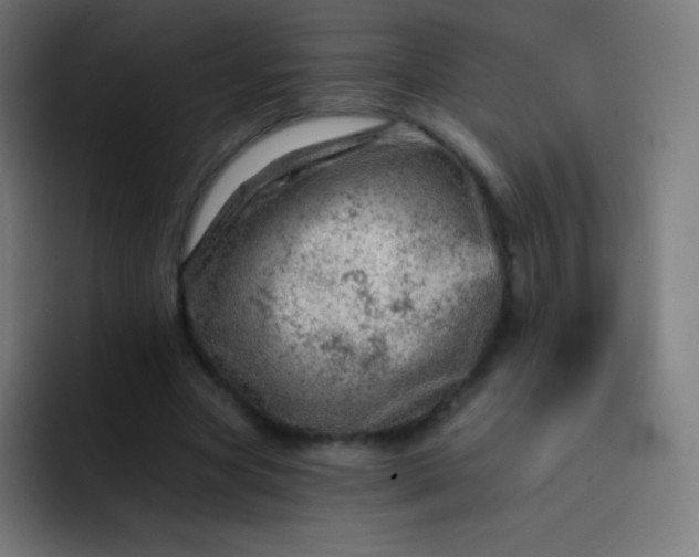 X0000093210537200710101328