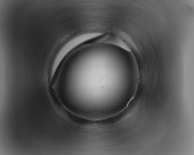 X0000093210538200710101328