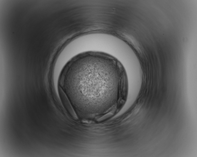 X0000093210540200710101328