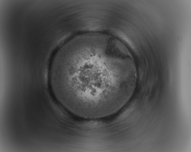 X0000093210542200710101328