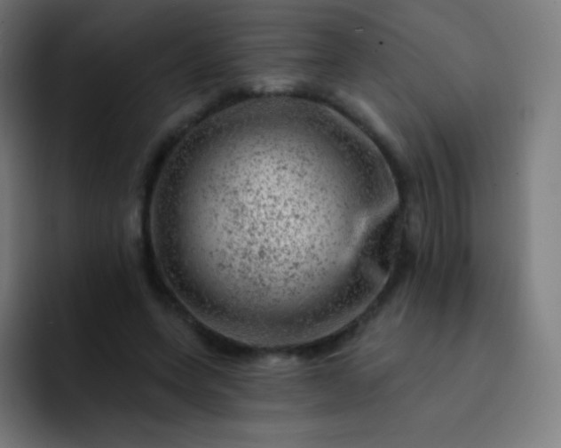 X0000093210543200710101328