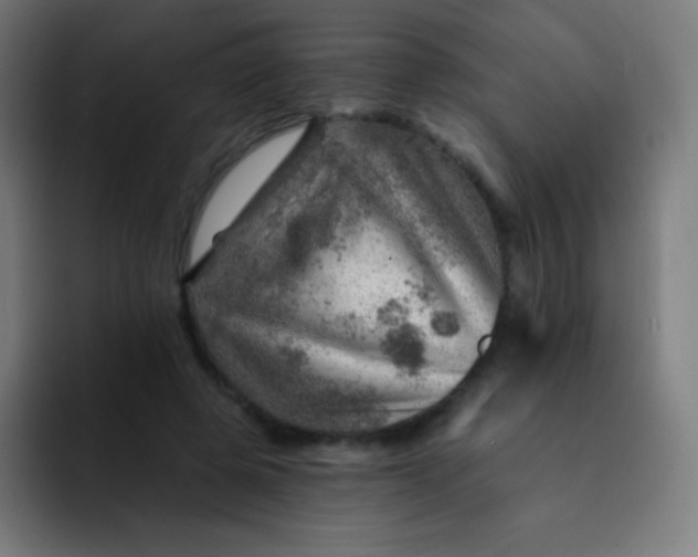 X0000093210545200710101328