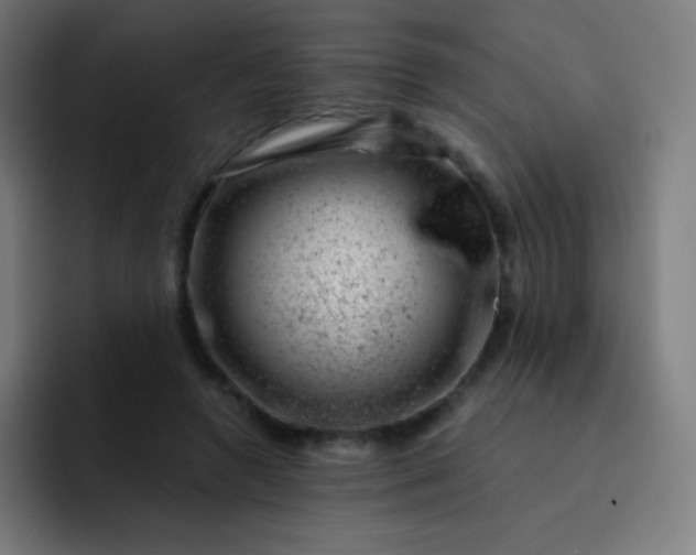 X0000093210546200710101328