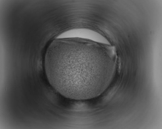 X0000093210547200710101328