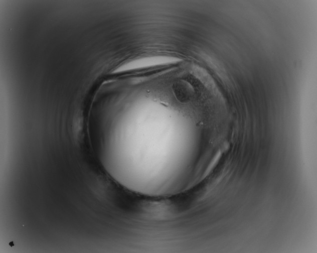 X0000093210548200710101328