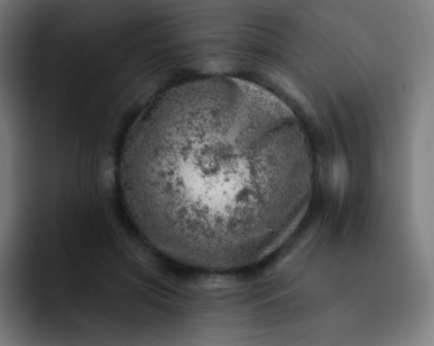 X0000093210549200710101328