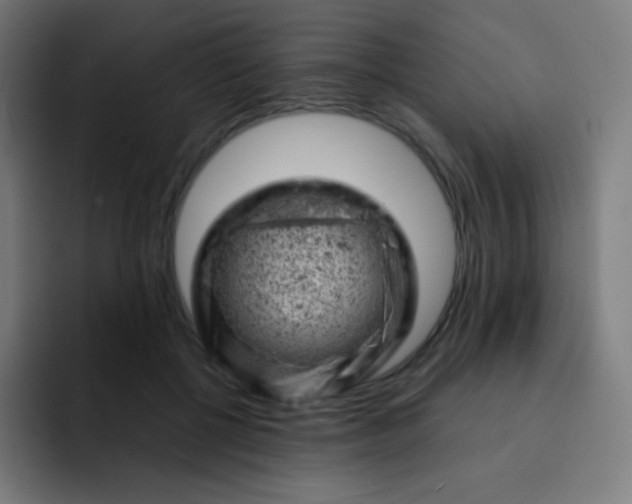 X0000093210552200710101328