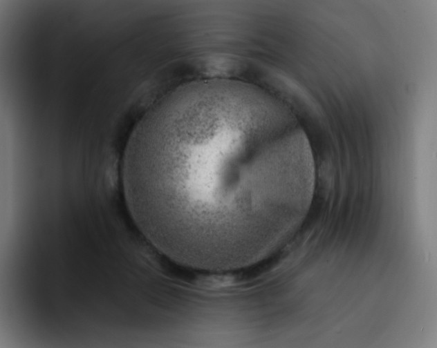 X0000093210554200710101328