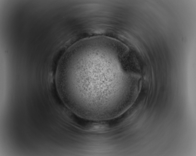 X0000093210555200710101328