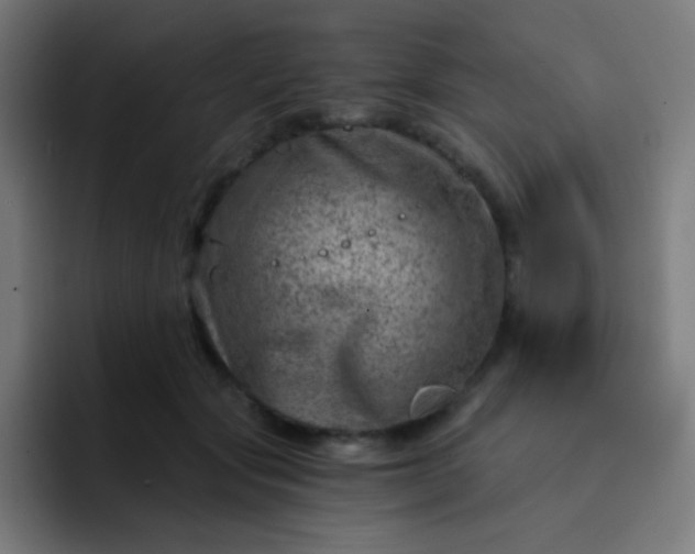 X0000093210557200710101328