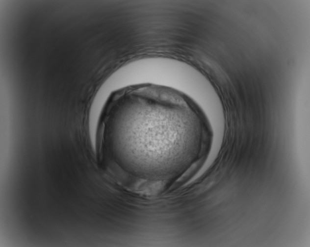 X0000093210558200710101328