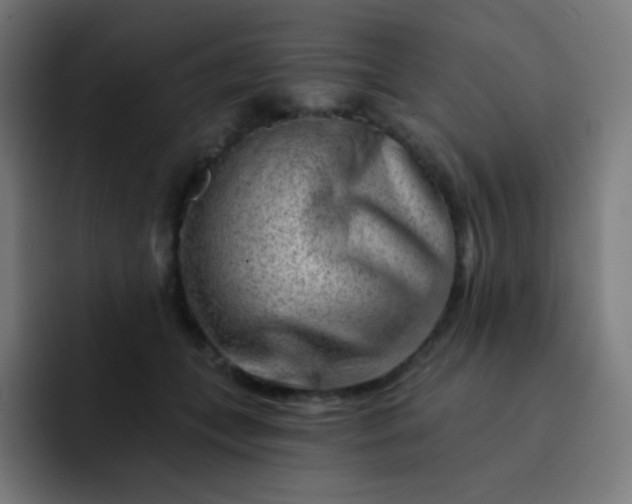 X0000093210559200710101328