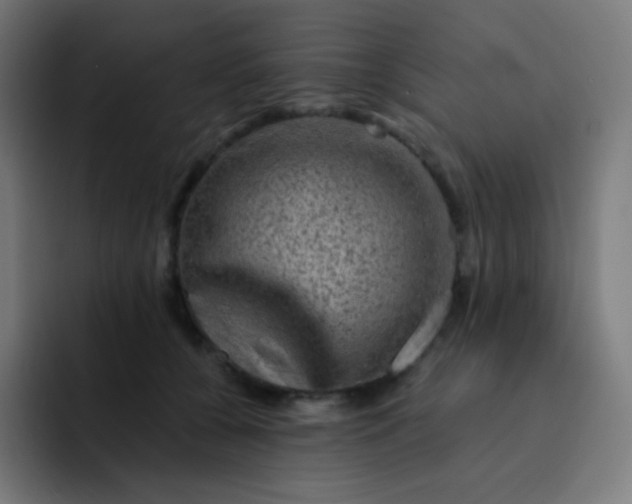 X0000093210560200710101328