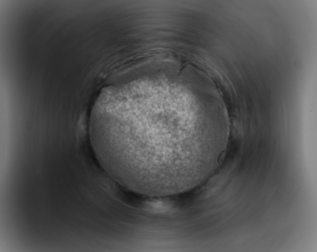 X0000093210561200710101329