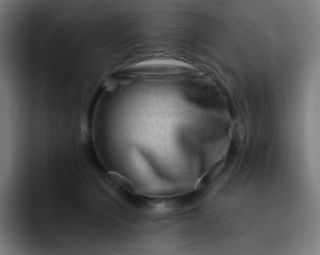 X0000093210564200710101329