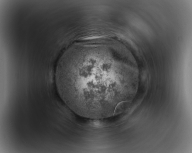 X0000093210565200710101329