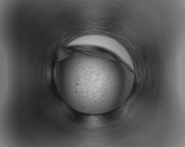 X0000093210566200710101329