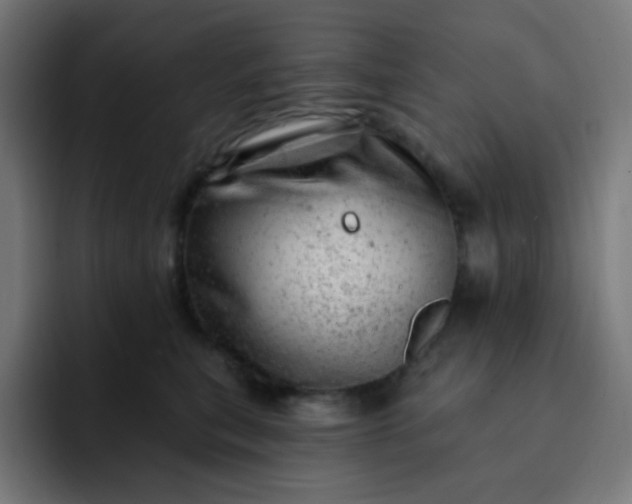 X0000093210567200710101329