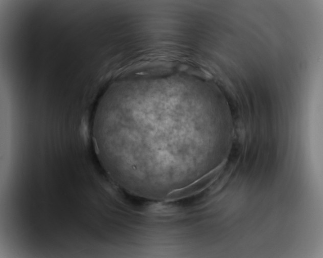 X0000093210568200710101329