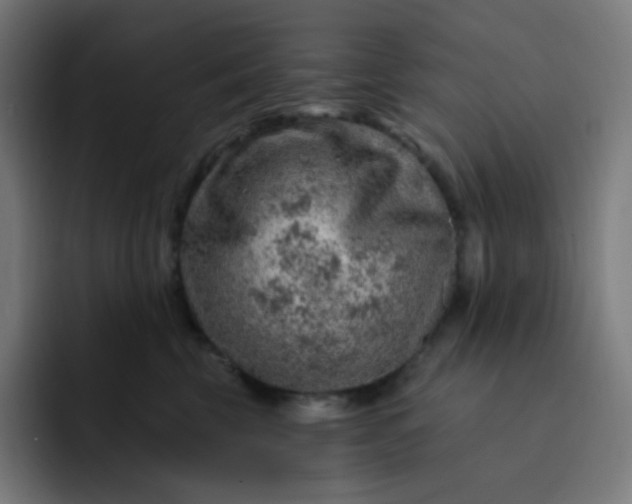 X0000093210569200710101329