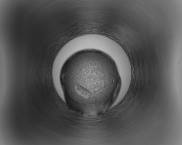 X0000093210570200710101329