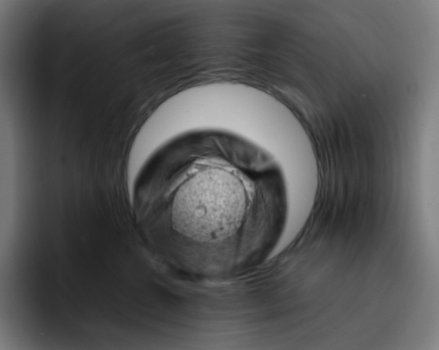 X0000093210572200710101329