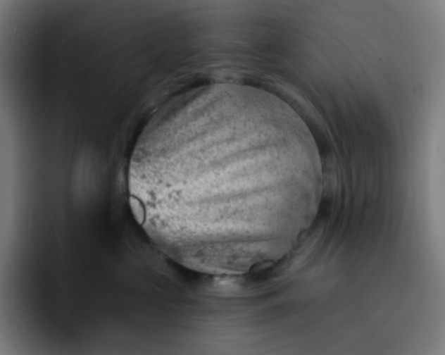 X0000093210573200710101329