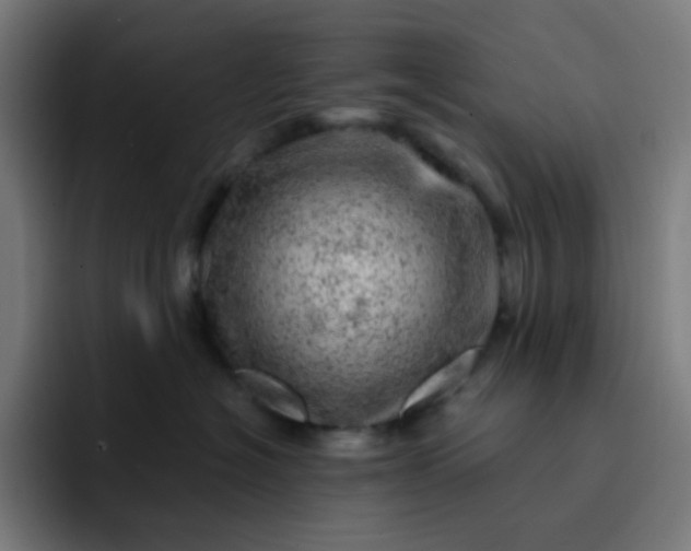 X0000093210574200710101329