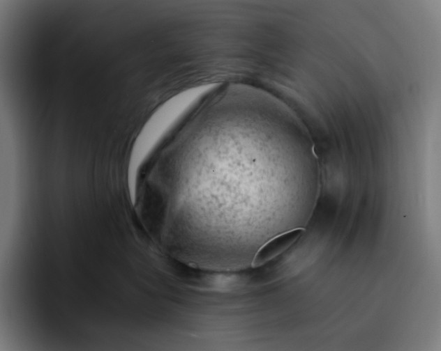 X0000093210575200710101329