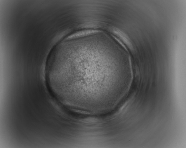 X0000093210578200710101328