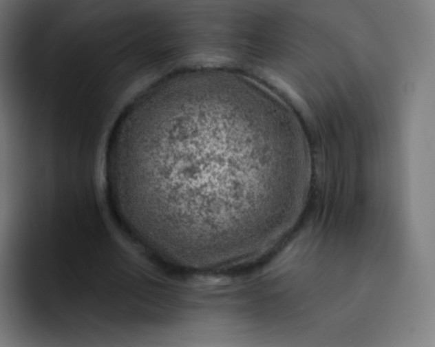 X0000093210582200710101328