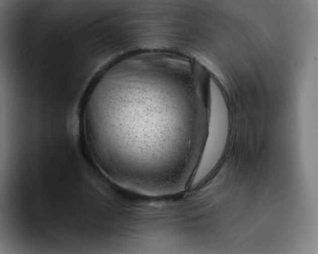 X0000093210584200710101328