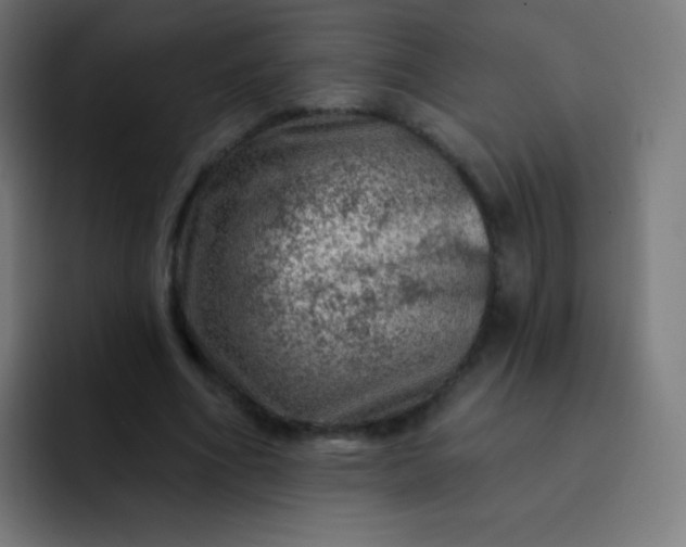 X0000093210586200710101328